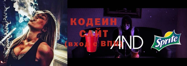 мдпв Осинники