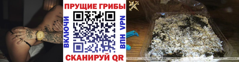 Галлюциногенные грибы Magic Shrooms  Казань 